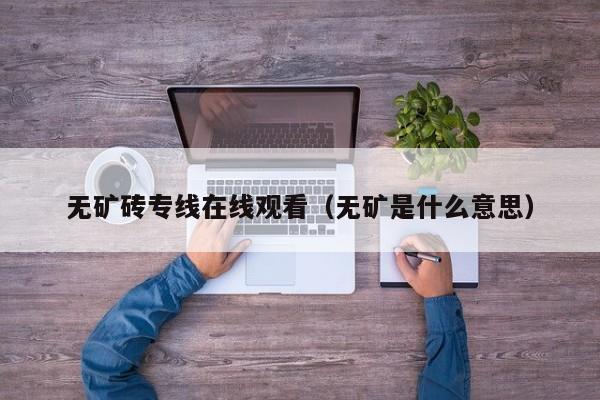 无矿砖专线在线观看（无矿是什么意思）