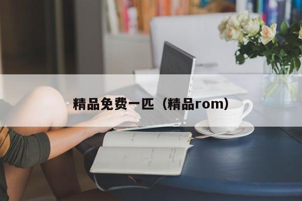 精品免费一匹（精品rom）