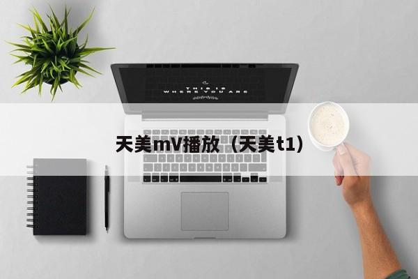 天美mV播放（天美t1）