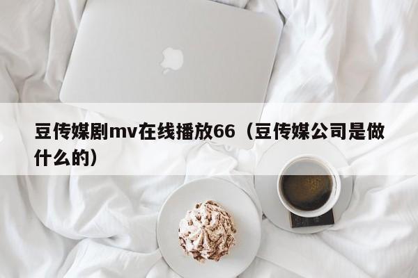 豆传媒剧mv在线播放66（豆传媒公司是做什么的）