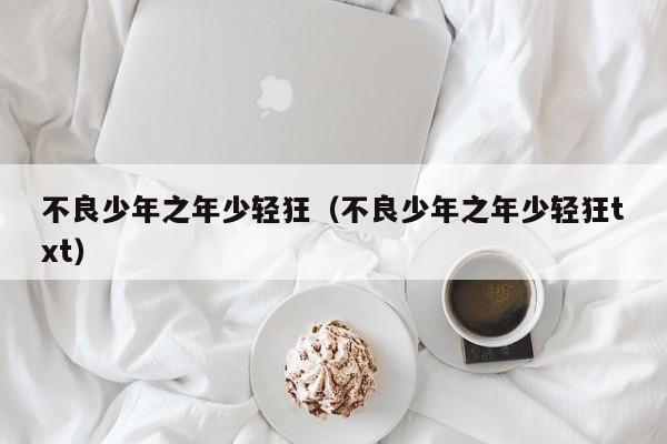 不良少年之年少轻狂（不良少年之年少轻狂txt）