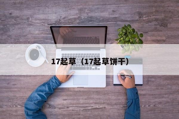 17起草（17起草饼干）