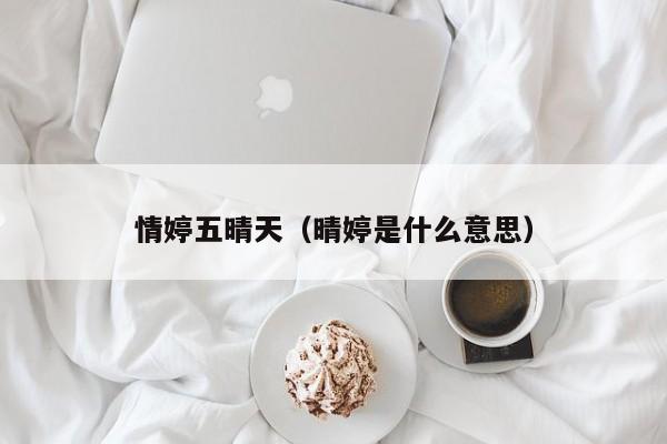 情婷五晴天（晴婷是什么意思）