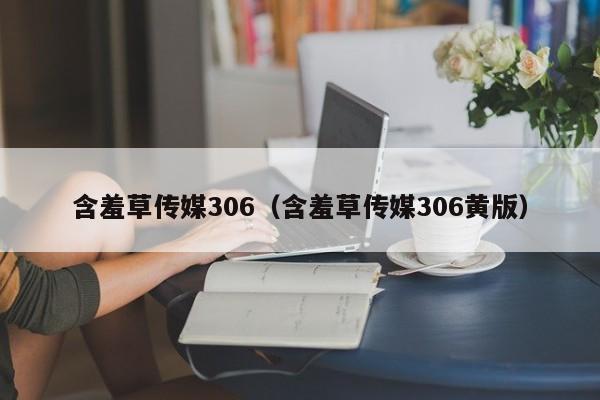 含羞草传媒306（含羞草传媒306黄版）