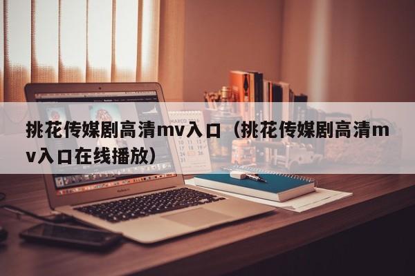 挑花传媒剧高清mv入口（挑花传媒剧高清mv入口在线播放）